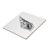 SEASHELL MEERESWELT KERAMIK TITEL FLIESE (Seite)