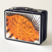 Seashell Metall Brotdose (Rückseite)