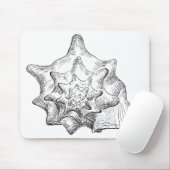 Seashell Mousepad (Mit Mouse)
