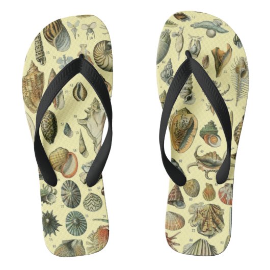 Seashell Muschel Mollusk Clam Badesandalen (Fußbett)