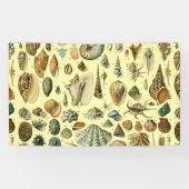 Seashell Muschel Mollusk Clam Banner (Horizontal)