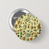 Seashell Muschel Mollusk Clam Button (Vorne & Hinten)