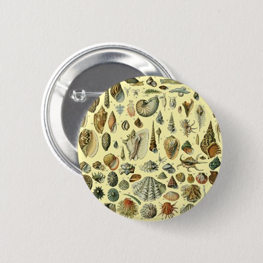 Seashell Muschel Mollusk Clam Button (Vorne & Hinten)