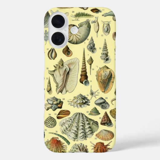 Seashell Muschel Mollusk Clam Case-Mate iPhone Hülle (Rückseite)