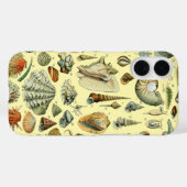 Seashell Muschel Mollusk Clam Case-Mate iPhone Hülle (Rückseite (Horizontal))