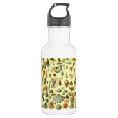 Seashell Muschel Mollusk Clam Edelstahlflasche (Vorderseite)