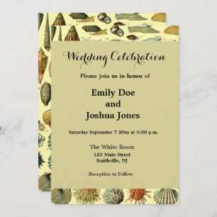 Seashell Muschel Mollusk Clam Einladung