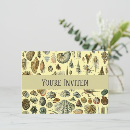 Seashell Muschel Mollusk Clam Einladung (Stehend Vorderseite)