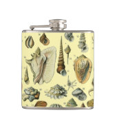 Seashell Muschel Mollusk Clam Flachmann (Vorderseite)