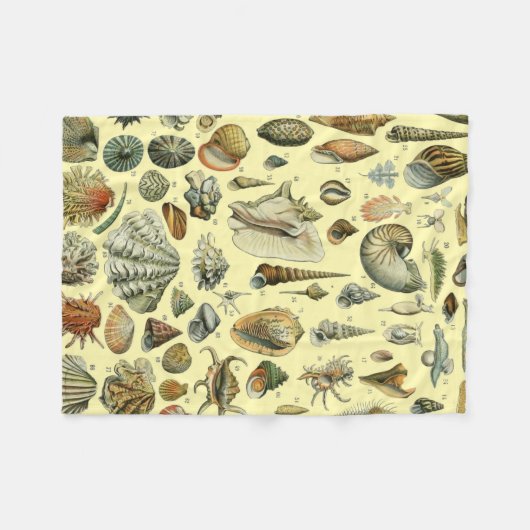 Seashell Muschel Mollusk Clam Fleecedecke (Vorderseite (Horizontal))