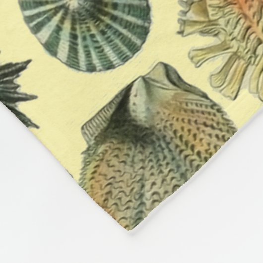 Seashell Muschel Mollusk Clam Fleecedecke (Ecke)