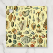 Seashell Muschel Mollusk Clam Geschenkanhänger (Vorderseite)