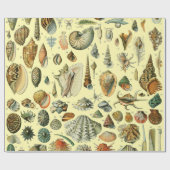 Seashell Muschel Mollusk Clam Geschenkpapier (Flach)