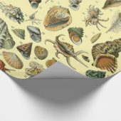 Seashell Muschel Mollusk Clam Geschenkpapier (Ecke)