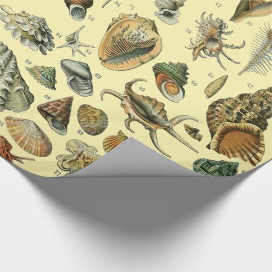 Seashell Muschel Mollusk Clam Geschenkpapier (Ecke)