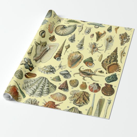 Seashell Muschel Mollusk Clam Geschenkpapier (Ungerollt)