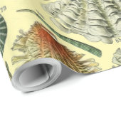 Seashell Muschel Mollusk Clam Geschenkpapier (Rolleneckpunkt)