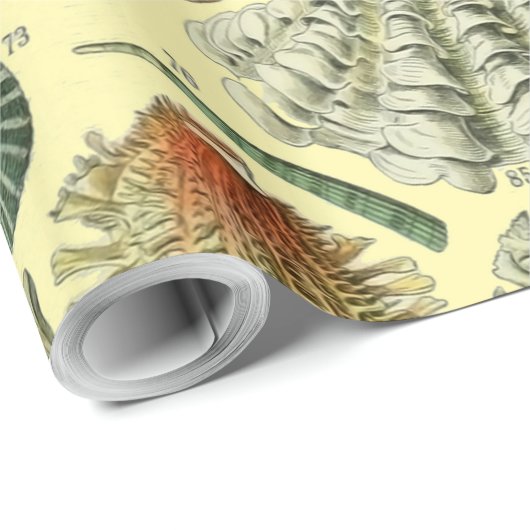 Seashell Muschel Mollusk Clam Geschenkpapier (Rolleneckpunkt)