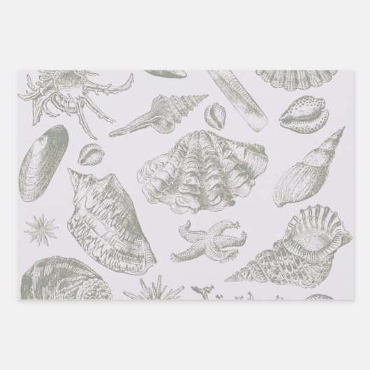 Seashell Muschel Mollusk Clam Geschenkpapier Set (Vorderseite 2)