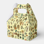 Seashell Muschel Mollusk Clam Geschenkschachtel (Rückseite)