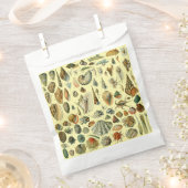 Seashell Muschel Mollusk Clam Geschenktütchen (Ausgeschnitten)