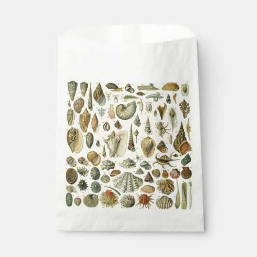 Seashell Muschel Mollusk Clam Geschenktütchen (Vorderseite)