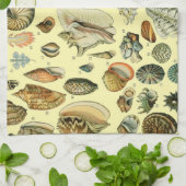 Seashell Muschel Mollusk Clam Geschirrtuch (Gefaltet)