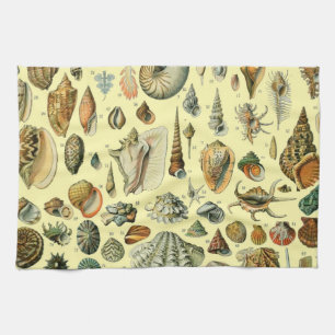 Seashell Muschel Mollusk Clam Geschirrtuch
