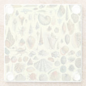 Seashell Muschel Mollusk Clam Glasuntersetzer (Rückseite)