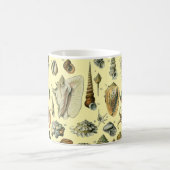 Seashell Muschel Mollusk Clam Kaffeetasse (Mittel)