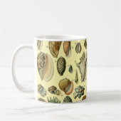 Seashell Muschel Mollusk Clam Kaffeetasse (Links)