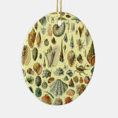 Seashell Muschel Mollusk Clam Keramik Ornament (Rechts)
