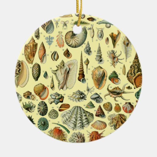 Seashell Muschel Mollusk Clam Keramik Ornament (Vorne)