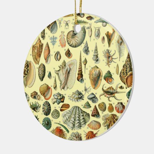 Seashell Muschel Mollusk Clam Keramik Ornament (Links)