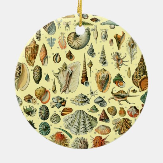 Seashell Muschel Mollusk Clam Keramik Ornament (Hinten)