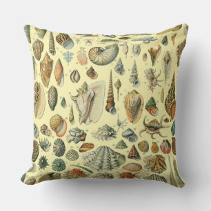 Seashell Muschel Mollusk Clam Kissen