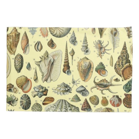 Seashell Muschel Mollusk Clam Kissenbezug (Rückseite)