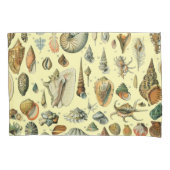 Seashell Muschel Mollusk Clam Kissenbezug (Vorderseite)