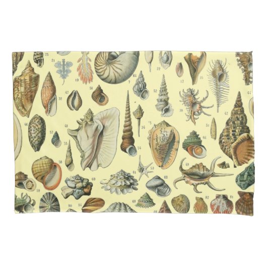 Seashell Muschel Mollusk Clam Kissenbezug (Vorderseite)