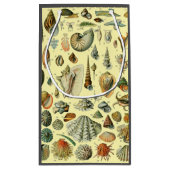 Seashell Muschel Mollusk Clam Kleine Geschenktüte (Rückseite)