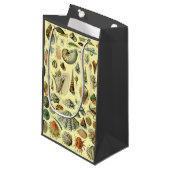 Seashell Muschel Mollusk Clam Kleine Geschenktüte (Vorderseite Schrägansicht)