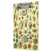 Seashell Muschel Mollusk Clam Klemmbrett (Links)