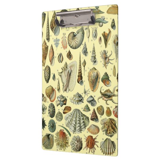 Seashell Muschel Mollusk Clam Klemmbrett (Links)