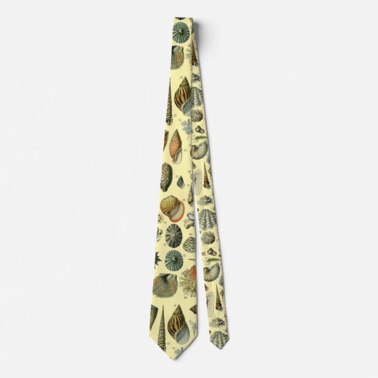 Seashell Muschel Mollusk Clam Krawatte (Vorderseite)
