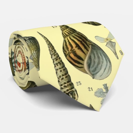 Seashell Muschel Mollusk Clam Krawatte (Gerollt)