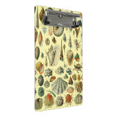 Seashell Muschel Mollusk Clam Mini Klemmbrett (Schrägansicht)
