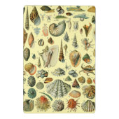 Seashell Muschel Mollusk Clam Mini Klemmbrett (Rückseite)