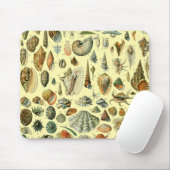 Seashell Muschel Mollusk Clam Mousepad (Mit Mouse)