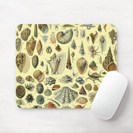 Seashell Muschel Mollusk Clam Mousepad (Mit Mouse)