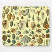 Seashell Muschel Mollusk Clam Mousepad (Vorne)